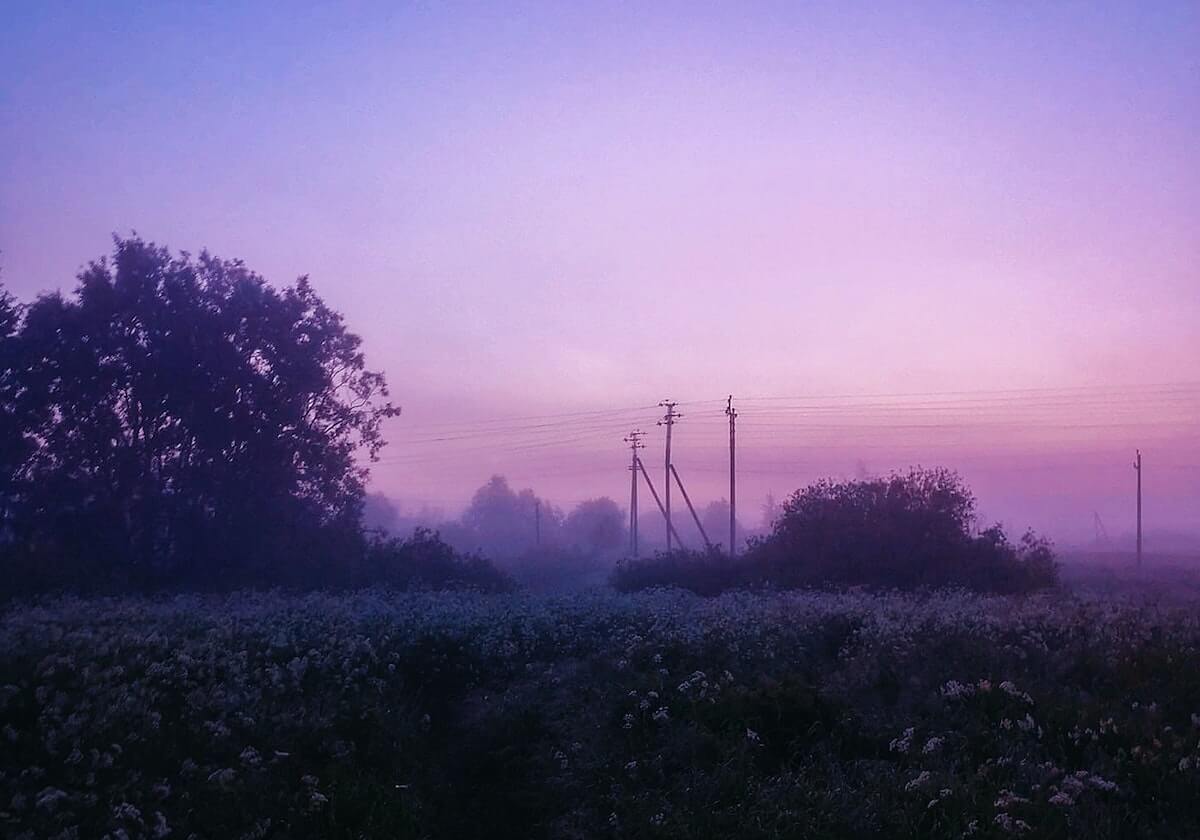 搜狐体育-纳达尔第12次锁定年终前二 生涯稳定性笑傲三巨头